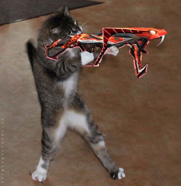 ảnh meme mèo ff cầm súng MP40 mãng xà ngầu lòi