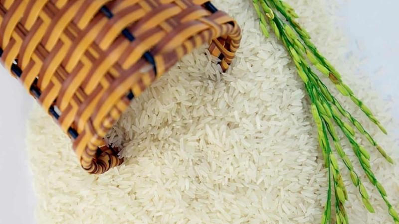 Cơm Hàm Châu là gì? Đặc điểm và giá gạo Hàm Châu