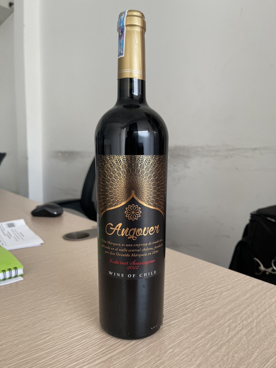 Rượu Vang Chile Angover - Rượu Nhập Khẩu