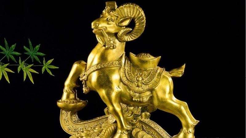 Vận mệnh của năm Mùi 2003 như thế nào? Tuổi nào hợp với năm Mùi?