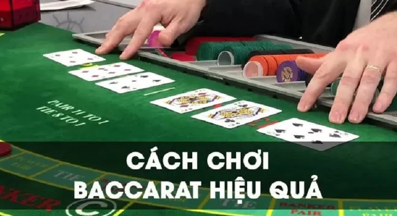 Sunwin20 tiết lộ kinh nghiệm chơi baccarat cho người mới bắt đầu năm 2024